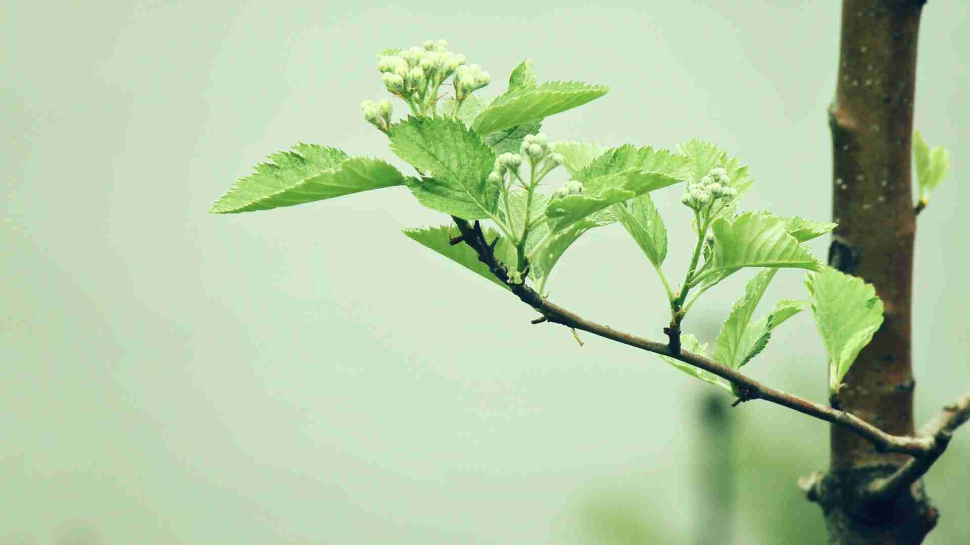 通用人工智能的曙光 生成式人工智能技术的产业影响